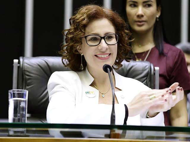 Pf Faz Buscas Para Apreender Armas Da Deputada Carla Zambelli Sinal News