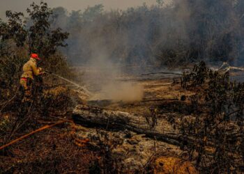 PF e órgãos estaduais apuram causas de incêndios no Pantanal