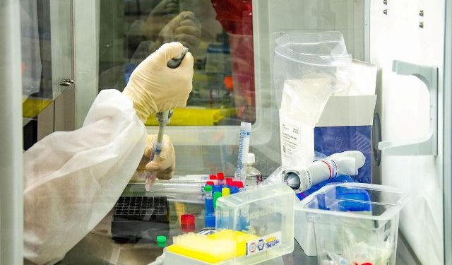 Brasil confirma 14.318 casos de covid-19 nas últimas 24 horas