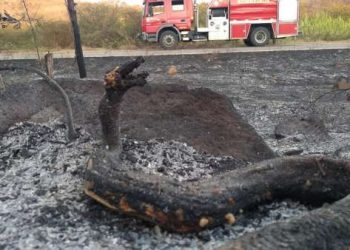 Queimadas: Aracati registrou alta de ocorrências no mês de setembro, segundo Corpo de Bombeiros