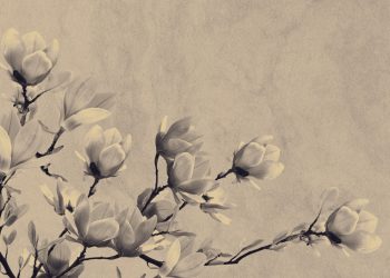 Esperança, fé e saudade