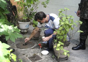 Hoje é o Dia Nacional de Combate ao Mosquito Aedes Aegypti