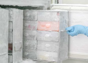 Brasil não tem ultracongeladores que poderiam armazenar vacina da Pfizer contra Covid