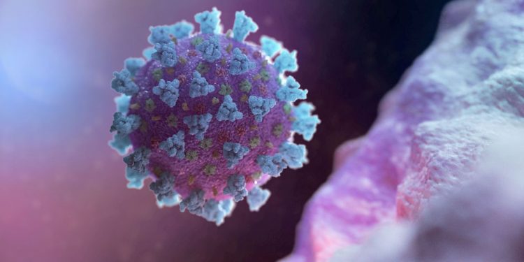 Registrada reinfecção da covid com variante do vírus em paciente na BA