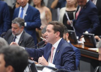 Quarenta deputados estiveram presentes em todas as sessões de 2020; dois são cearenses