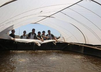 Aracati oferta vagas para curso técnico integrado em Aquicultura