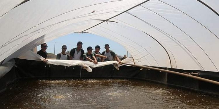 Aracati oferta vagas para curso técnico integrado em Aquicultura