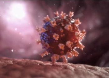 Coronavírus: Ceará monitora pacientes possivelmente infectados com nova cepa