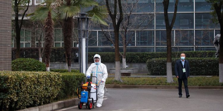 Origem da covid-19: pesquisador defende estudo de cavernas de morcego