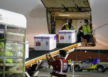 Novo lote com mais 49.200 doses de vacinas contra a Covid chega ao Ceará