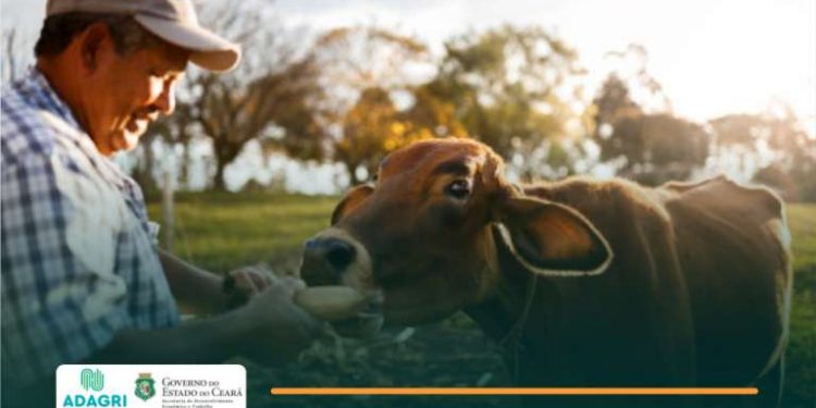 Criadores devem se regularizar junto à Adagri até o dia 17 de maio