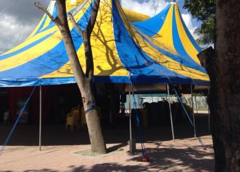 Sem bilheteria e sem calor humano: pandemia desafia artistas de circo