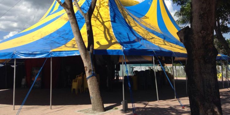 Sem bilheteria e sem calor humano: pandemia desafia artistas de circo