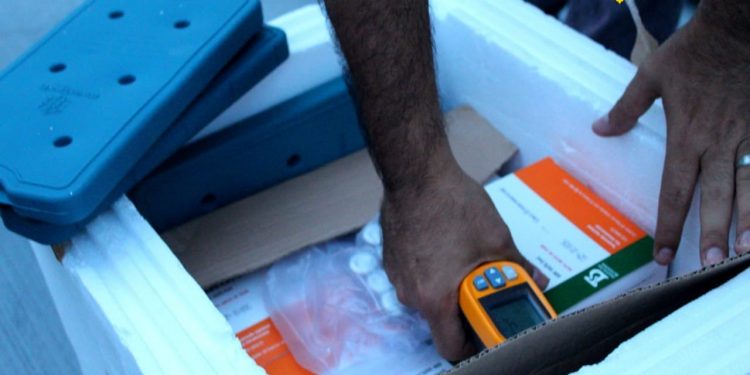 Aracati recebe o maior lote de vacinas contra Covid-19 até o momento