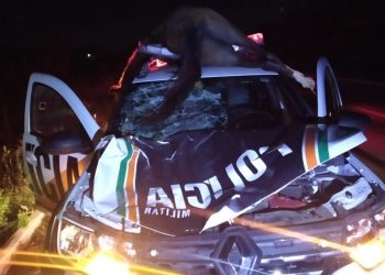 Aracati: viatura da PM colide com animal na BR-304