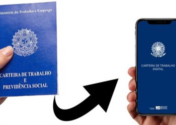 IDT/Sine realiza live tira-dúvidas sobre Carteira de Trabalho Digital