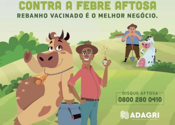 Começa nesta segunda-feira (03) a primeira etapa de Vacinação contra Febre Aftosa 2021