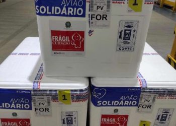 Ceará recebe mais de 25 mil doses de CoronaVac neste sábado (15)