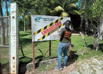 Beberibe: operação de fiscalização da Semace e BPMA resulta em embargos e auto de infração