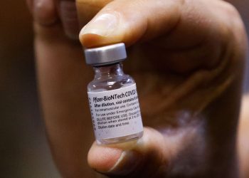 Aracati, Limoeiro do Norte, Russas e mais 23 cidades podem receber doses da vacina Pfizer; veja lista