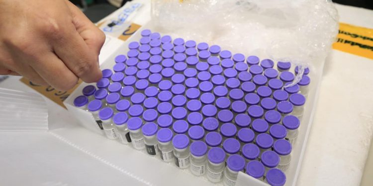 Ceará recebe nesta semana mais de 260 mil doses de vacinas contra a Covid-19