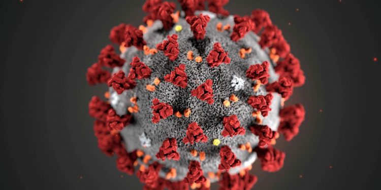 Fiocruz: estudo sugere que variante delta pode causar mais reinfecções