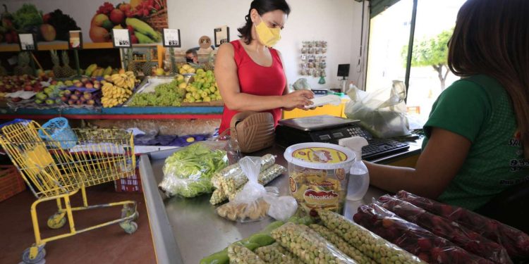 Ceará: primeiro lote de beneficiários do Auxílio Cesta Básica já está disponível para consulta