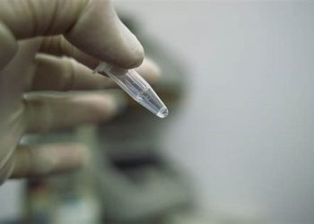 Ceará inicia coleta de DNA de famílias para auxiliar nas investigações e localização de pessoas desaparecidas