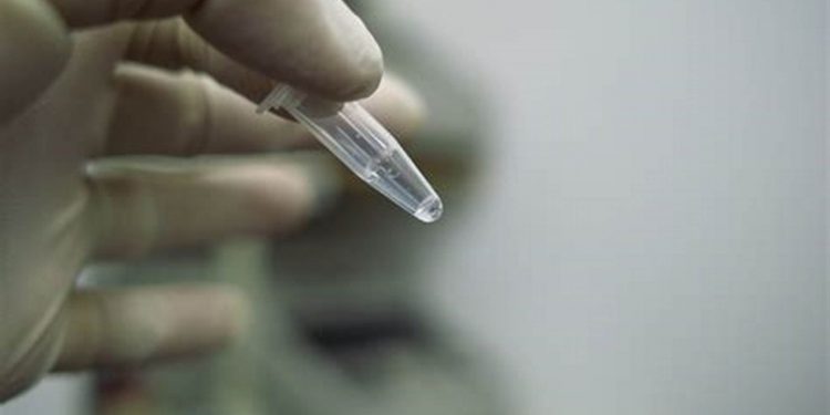 Ceará inicia coleta de DNA de famílias para auxiliar nas investigações e localização de pessoas desaparecidas