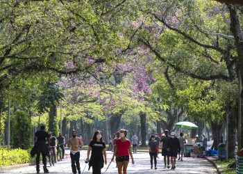 Brasil registra 34,1 mil casos de covid-19 em 24 horas
