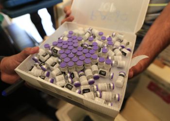Ceará recebe 69 mil doses de vacina da Pfizer nesta quinta-feira (08)