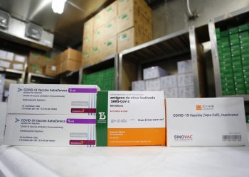 Novo lote com 205 mil doses de vacinas contra a Covid chega ao Ceará