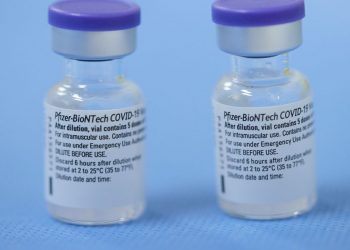 Covid-19: Pfizer entregará 17,6 milhões de doses até 22 de agosto