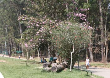 Chegada da primavera aumenta risco de doenças alérgicas e virais