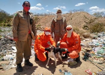 Corpo de Bombeiros resgata cachorro de um lixão em Tabuleiro do Norte