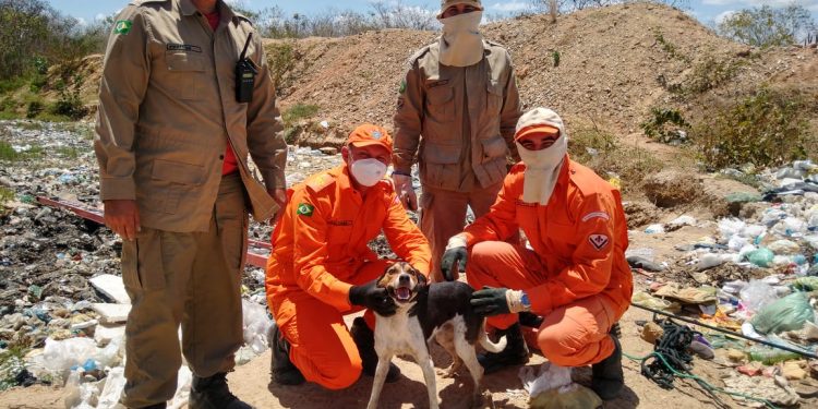 Corpo de Bombeiros resgata cachorro de um lixão em Tabuleiro do Norte