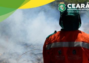 Estão abertas as inscrições para a seleção de brigadistas florestais