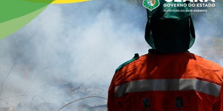 Estão abertas as inscrições para a seleção de brigadistas florestais