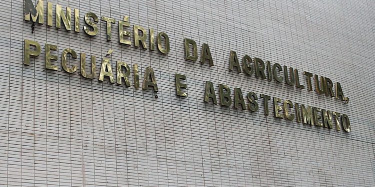 Ministério confirma casos de vaca louca em Mato Grosso e Minas Gerais