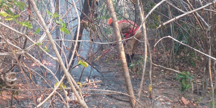 Fogo na Chapada dos Veadeiros afeta 14 mil hectares