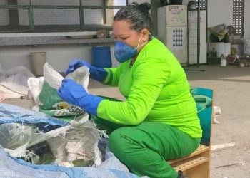 Ceará foca na coleta seletiva para reduzir quantidade de resíduos sem reaproveitamento