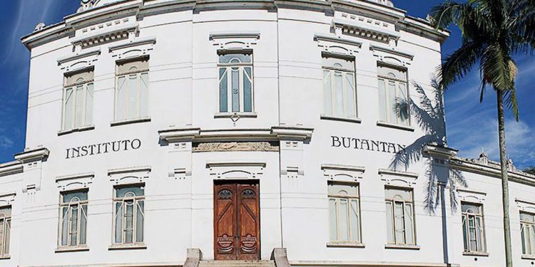 Butantan recebe autorização para iniciar testes de soro anti-covid