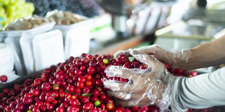 Consórcio Nordeste lança plataforma que otimiza a comercialização de produtos da Agricultura Familiar