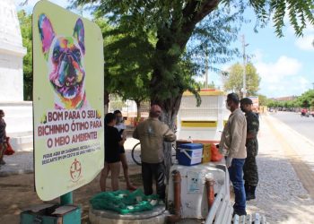 Aracati realiza Dia “D” da Campanha de Vacinação Antirrábica