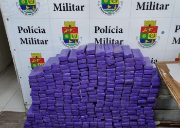 PMCE apreende 200 kg de maconha em Morada Nova