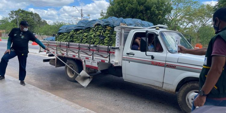 Em Aracati e Baturité, Semace vistoria 46 veículos movidos a diesel e multa três por fumaça irregular