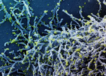 Covid-19: China deve aprovar 1º medicamento contra o vírus em dezembro