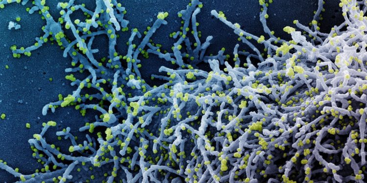 Covid-19: China deve aprovar 1º medicamento contra o vírus em dezembro