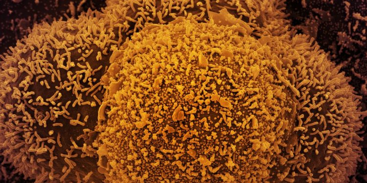 Covid-19 ofuscará comemorações de Ano-Novo no mundo