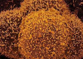 Brasil tem 45 casos confirmados da variante Ômicron